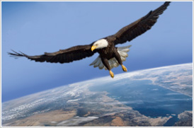 EAGLE