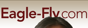 eagle-fly.com